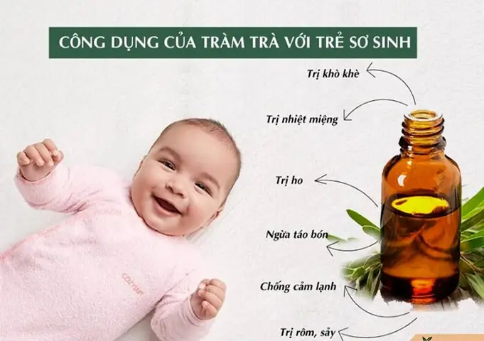 Tinh dầu tràm Huế có tác dụng gì?