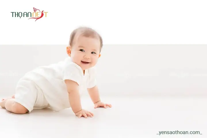 3. Trẻ em bao nhiêu tháng tuổi có thể sử dụng yến sào