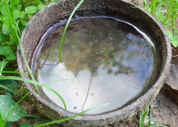 3Một số mẹo chống muỗi cho bé