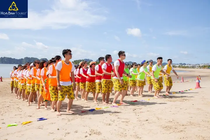 6. Cây chổi phù thuỷ