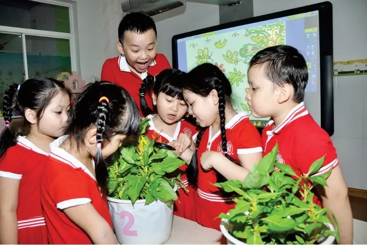 2Điểm khác biệt của trường mầm non Hồng Nhung Đà Nẵng