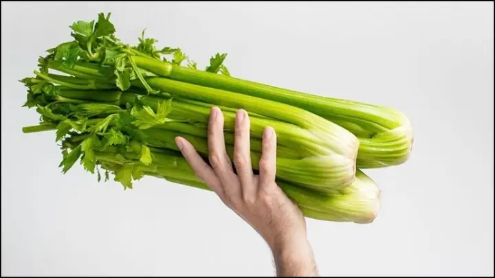 1Giá trị dinh dưỡng của cần tây