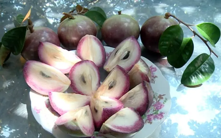 Ngăn ngừa bệnh tiểu đường thai kỳ