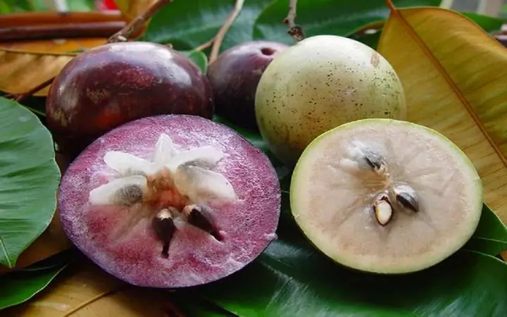 1Mẹ bầu ăn vú sữa được không?