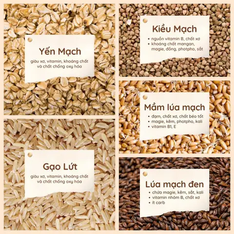 Ngũ cốc từ lâu đã trở thành món ăn dinh dưỡng được nhiều người ưa chuộng. Cách làm bột ngũ cốc dinh dưỡng cũng vô cùng đơn giản, chỉ cần chịu khó và tỷ mỉ một chút là bạn đã có thể làm được bột ngũ cốc thơm ngon, giàu dưỡng chất cho gia đình mình.